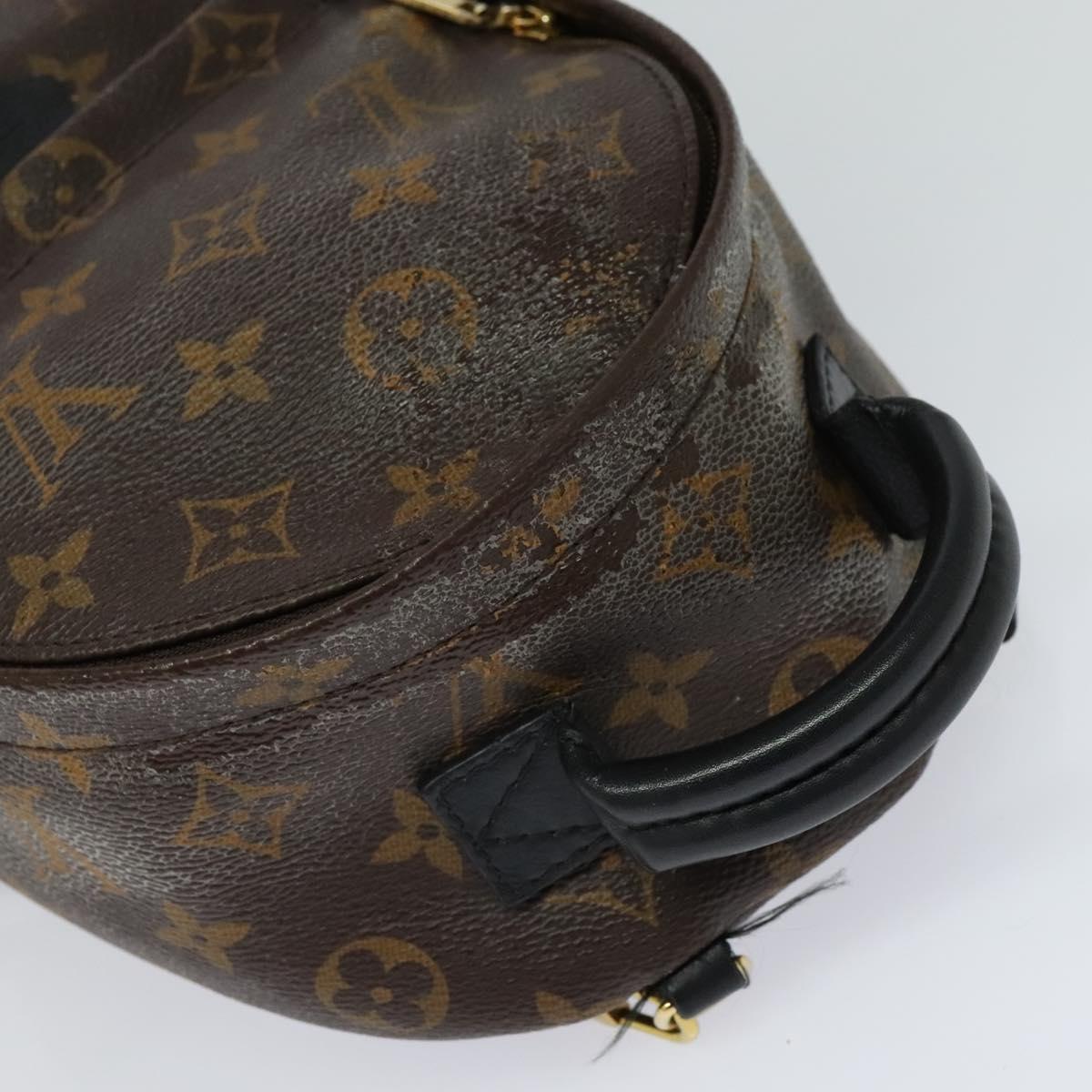 Louis Vuitton Palm Springs mini, Brown, Canvas, backpack