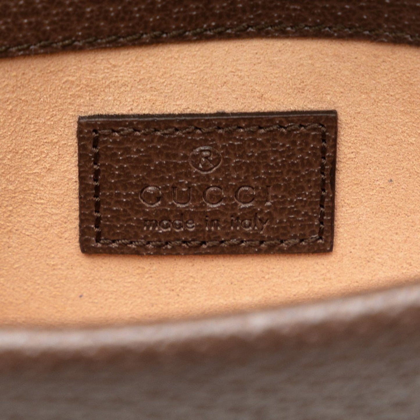 Gucci Dionysus, Brown, Canvas, shoulder