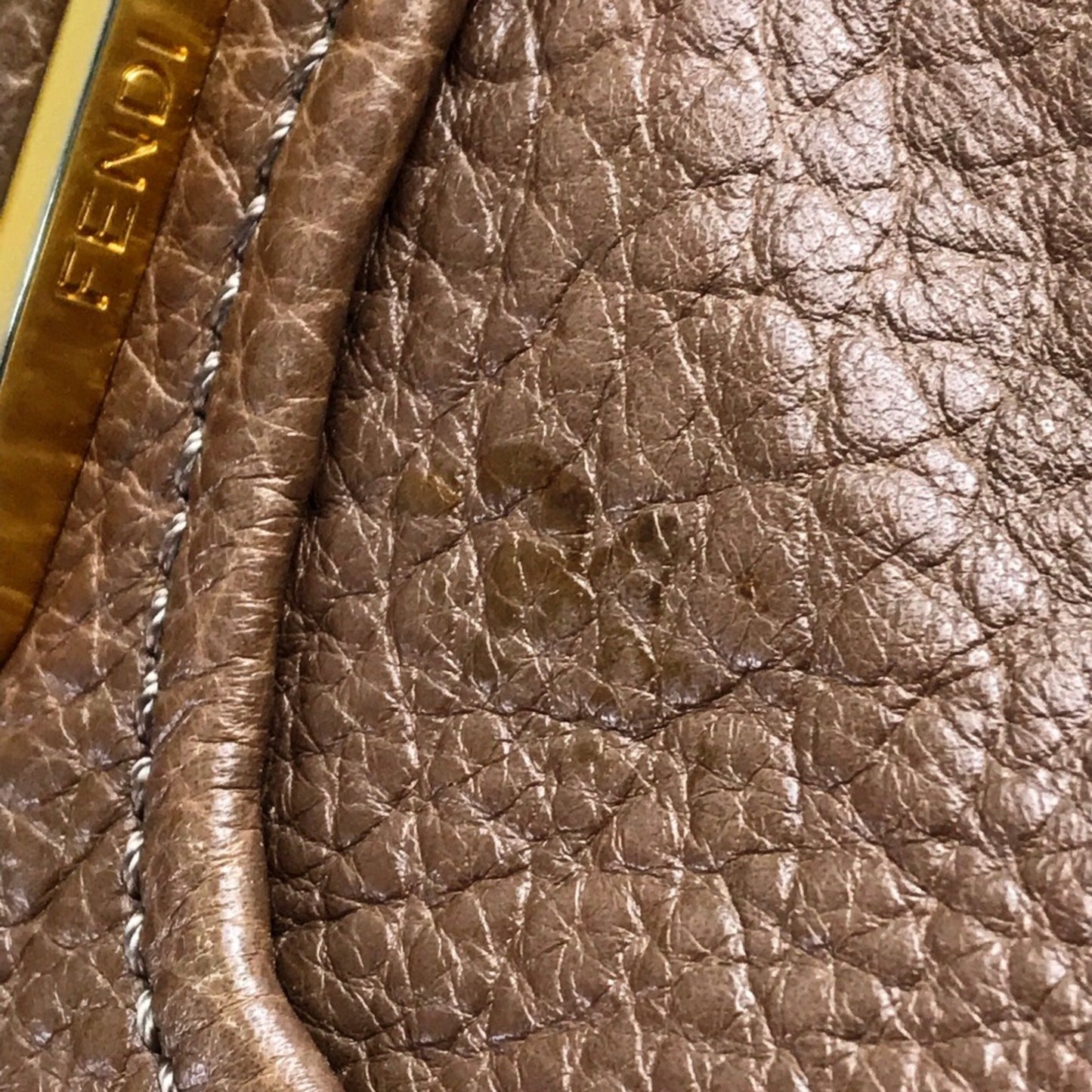 Fendi Chameleon, Brown, Leather, tote