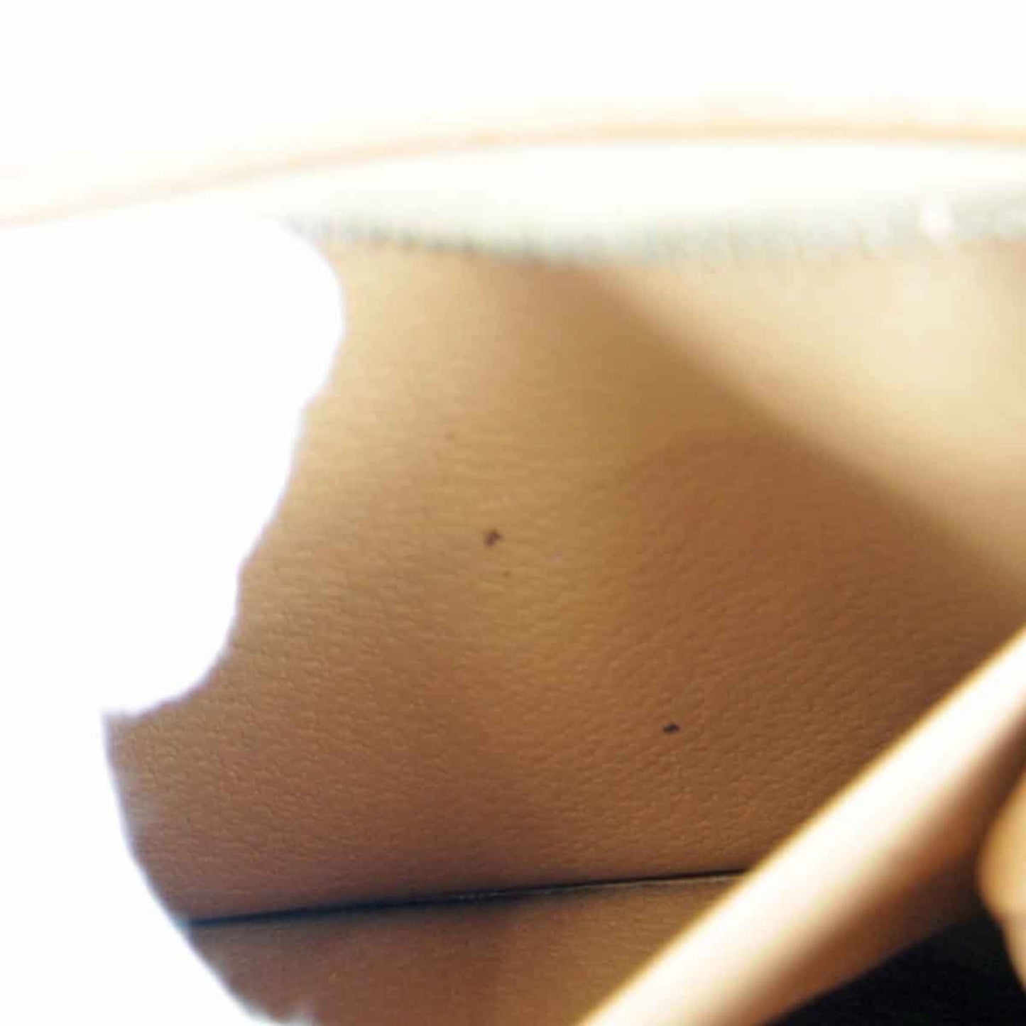 Céline Triomphe, Brown, Canvas, clutch