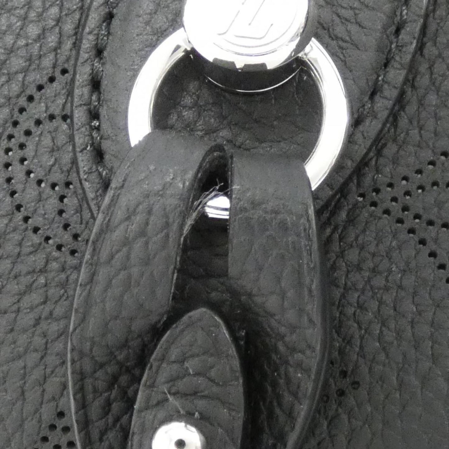 Louis Vuitton Blossom, Black, Leather, handbag