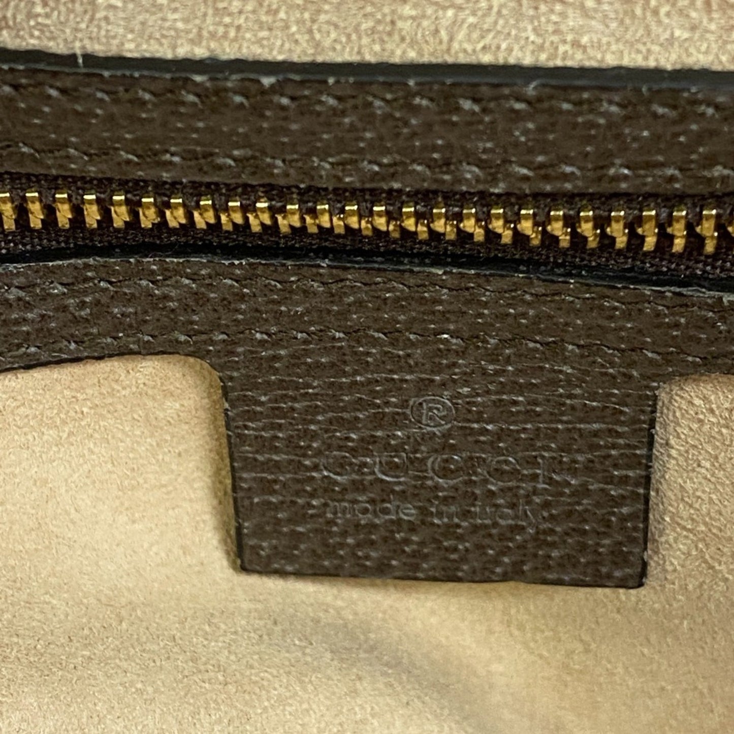Gucci Ophidia, Brown, Canvas, shoulder