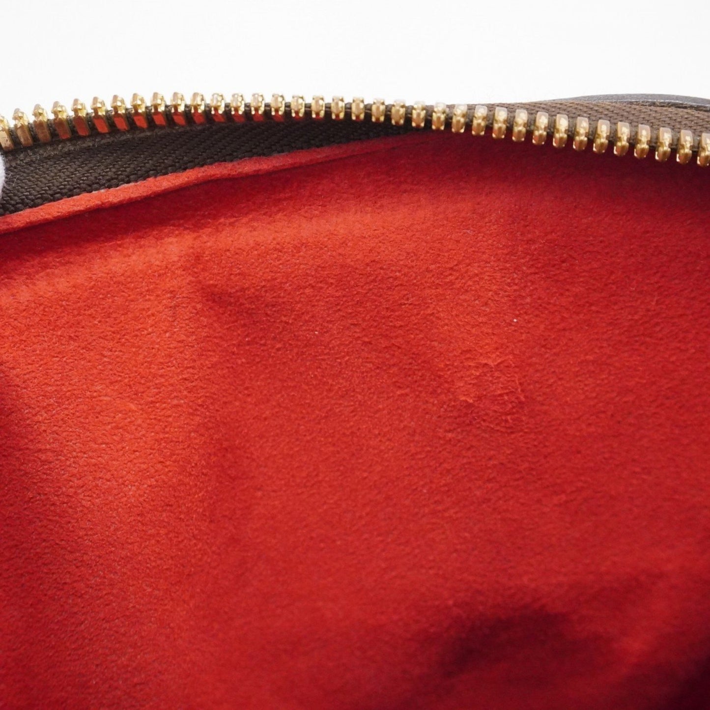 Louis Vuitton Trevi, Brown, Canvas, handbag