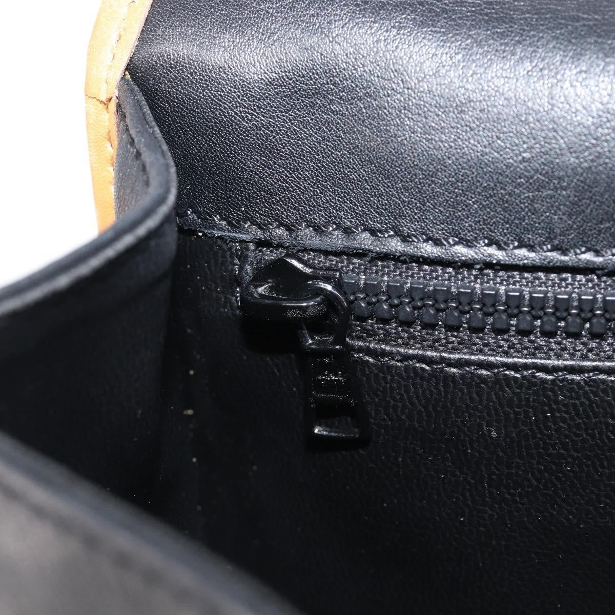 Celine Shoulder Leather, Black, Leather, Shoulder Bag