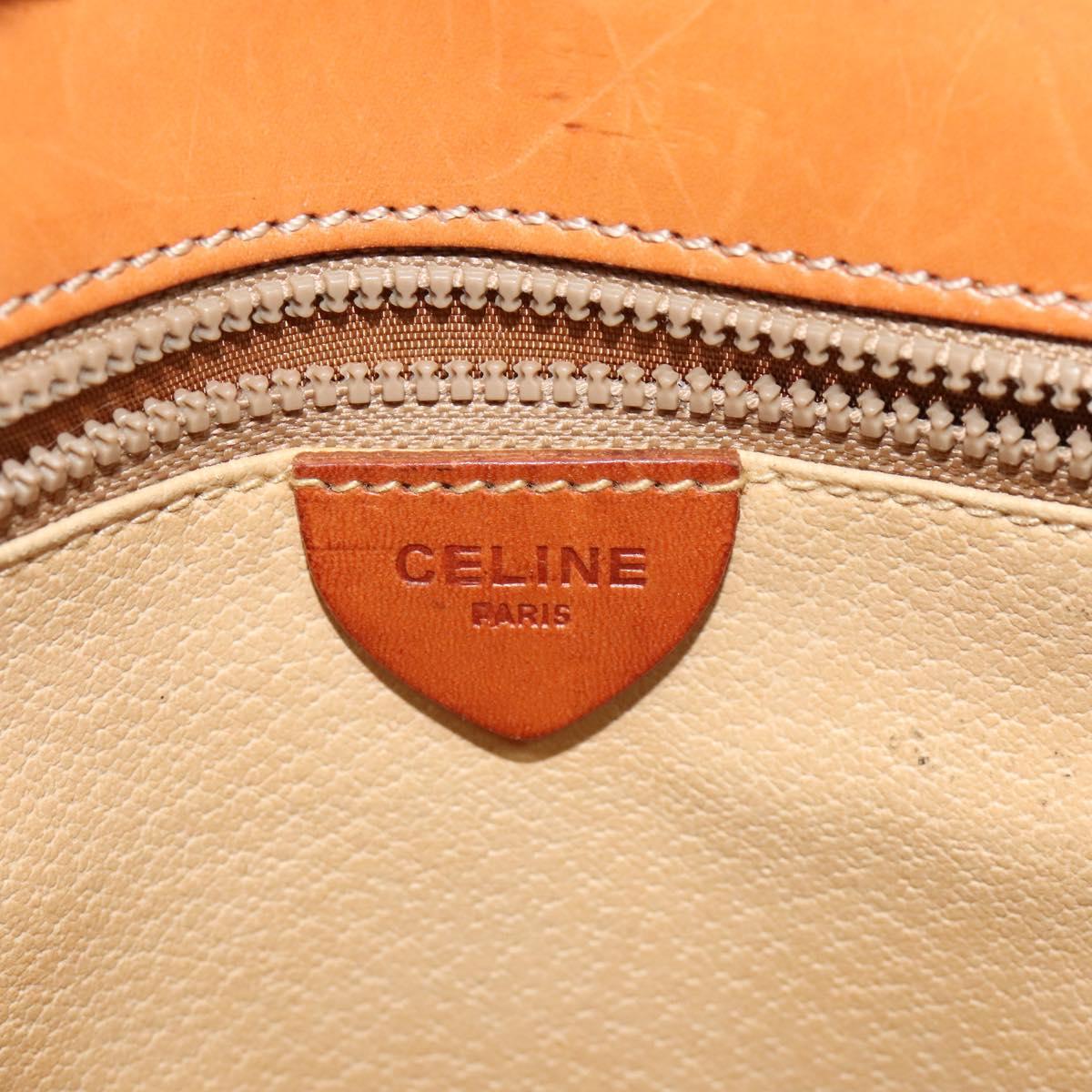 Céline Triomphe, Brown, Canvas, handbag