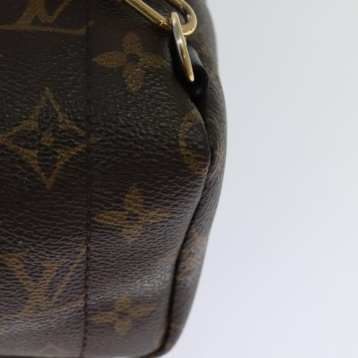 Louis Vuitton Palm Springs mini, Brown, Canvas, backpack