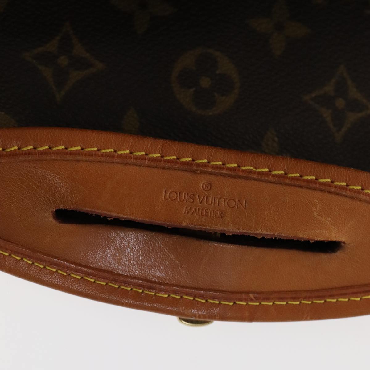 Louis Vuitton Garment, Brown, Canvas, travel