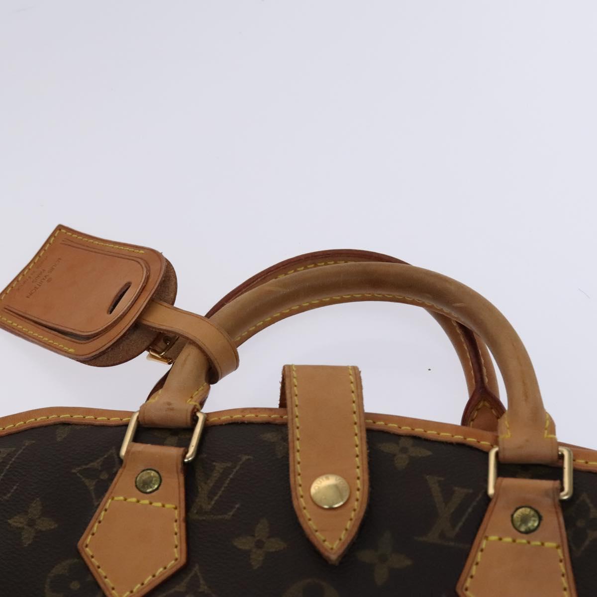 Louis Vuitton Garment case, Brown, Canvas, travel