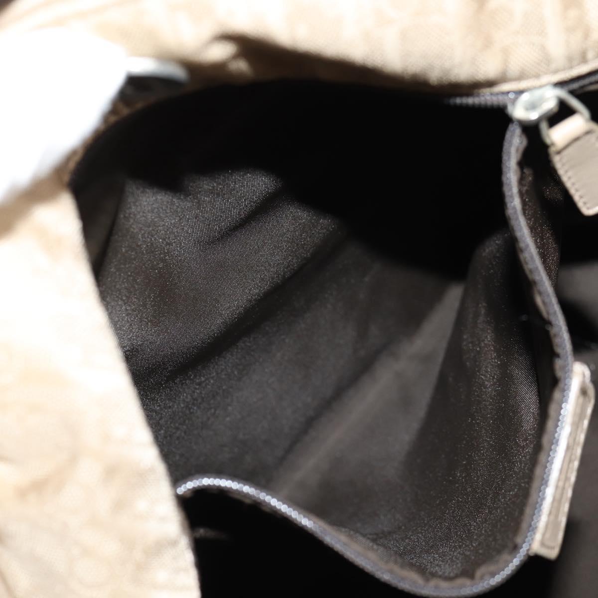 Dior Trotter, Beige, Canvas, handbag