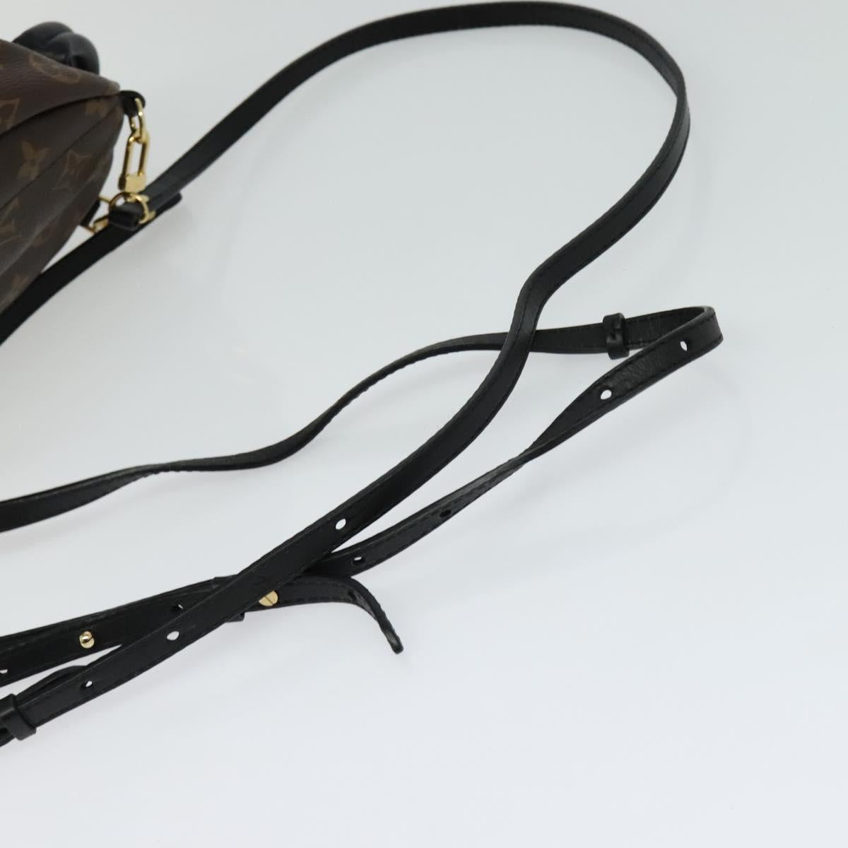 Louis Vuitton Palm Springs mini, Brown, Canvas, backpack