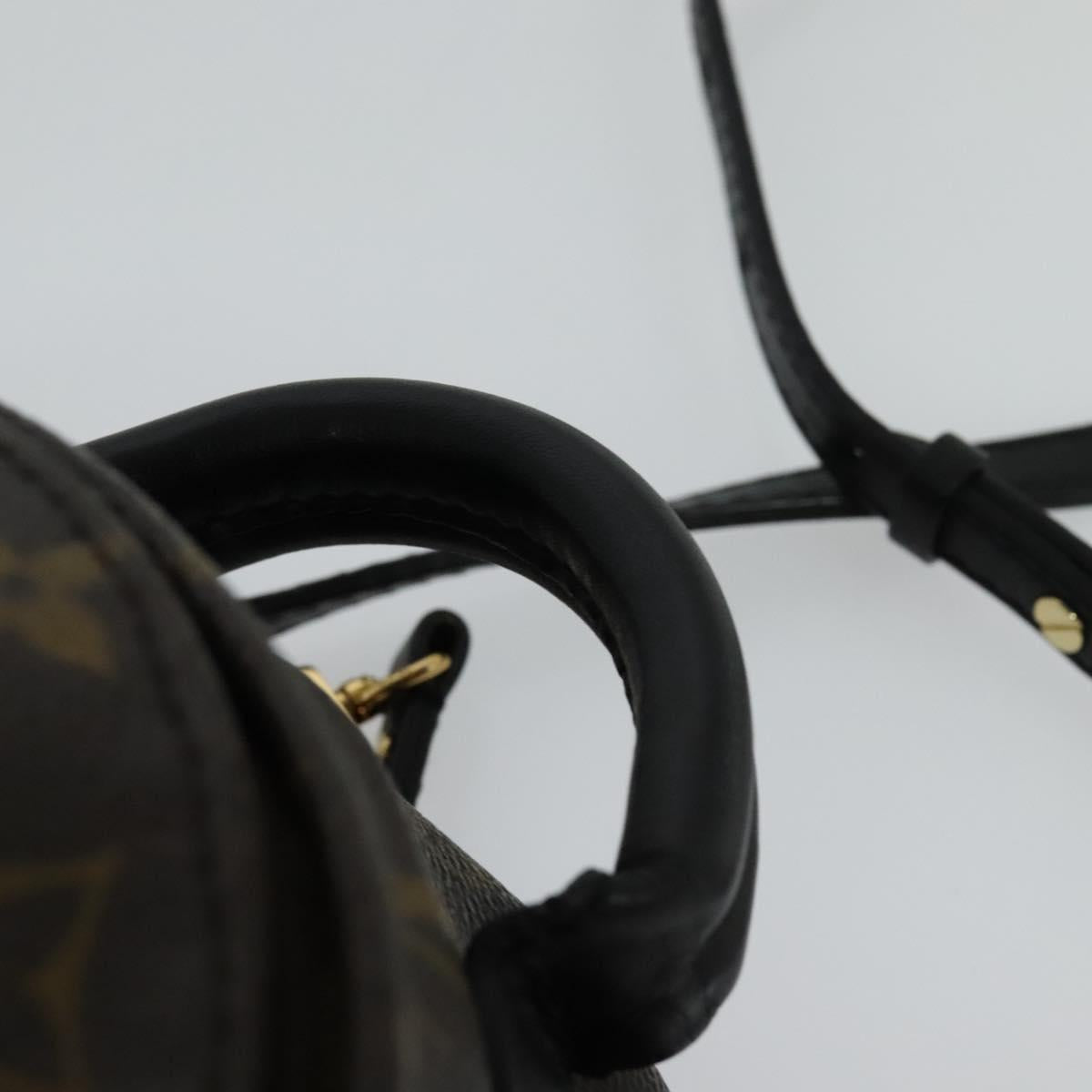 Louis Vuitton Palm Springs mini, Brown, Canvas, backpack