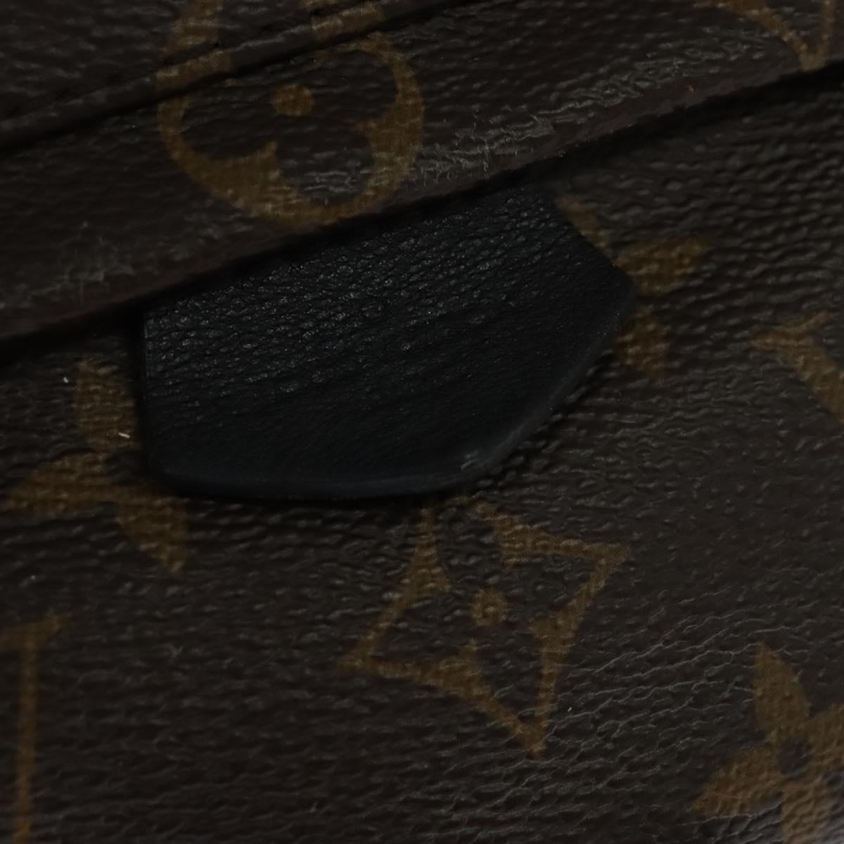 Louis Vuitton Palm Springs mini, Brown, Canvas, backpack