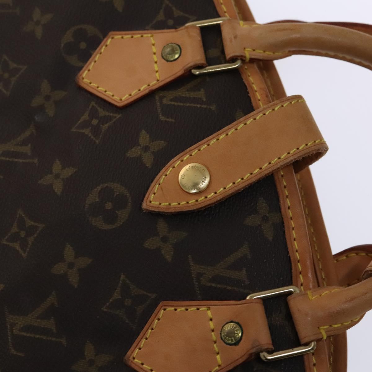 Louis Vuitton Garment case, Brown, Canvas, travel