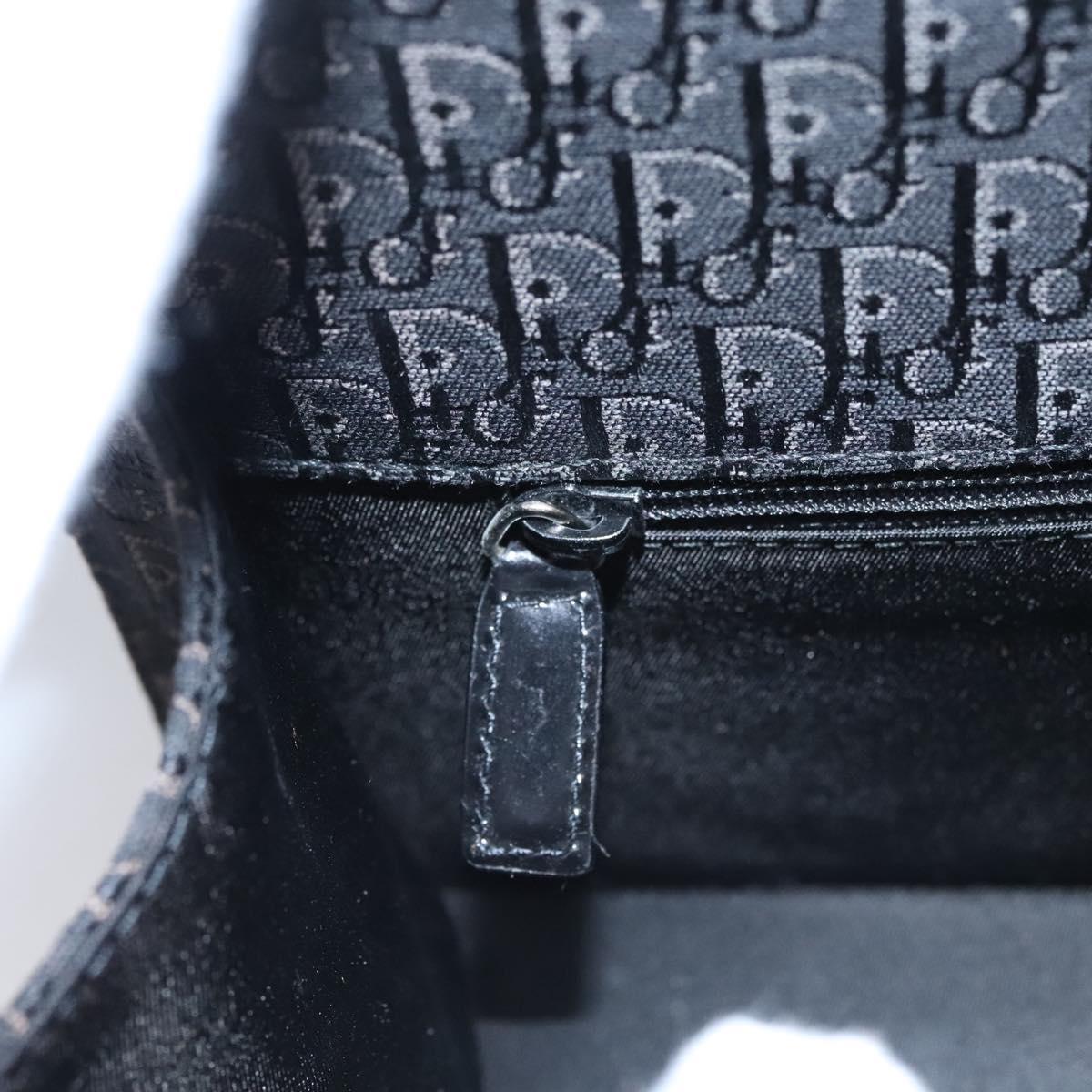Dior Trotter, Black, Canvas, shoulder