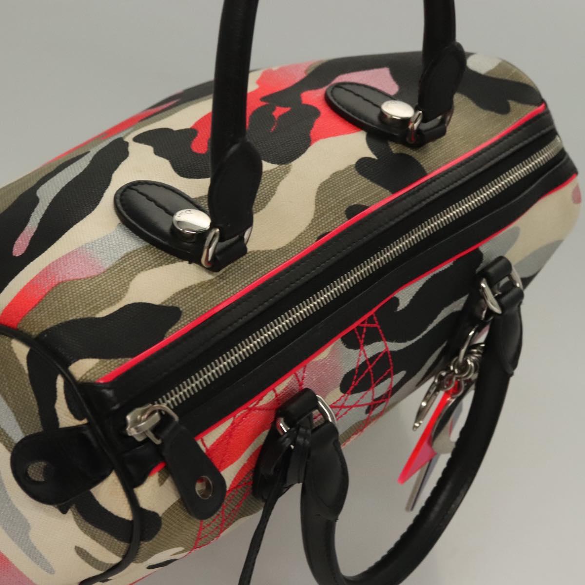 Dior Speedy, Multicolour, Canvas, handbag
