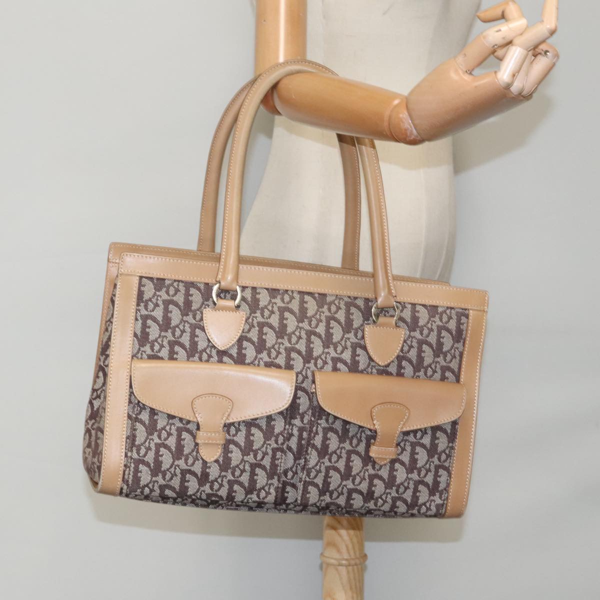 Dior Trotter, Brown, Canvas, handbag