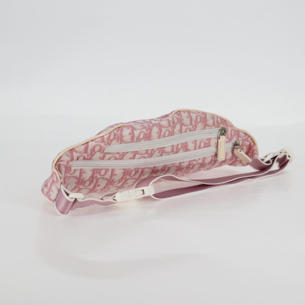 Dior Trotter, Pink, Canvas, shoulder