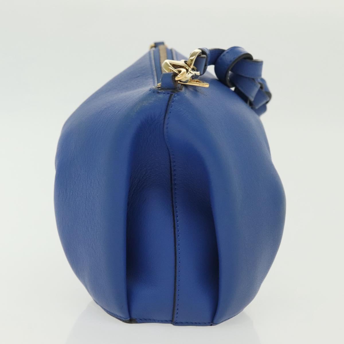 Loewe Elephant, Blue, Leather, handbag