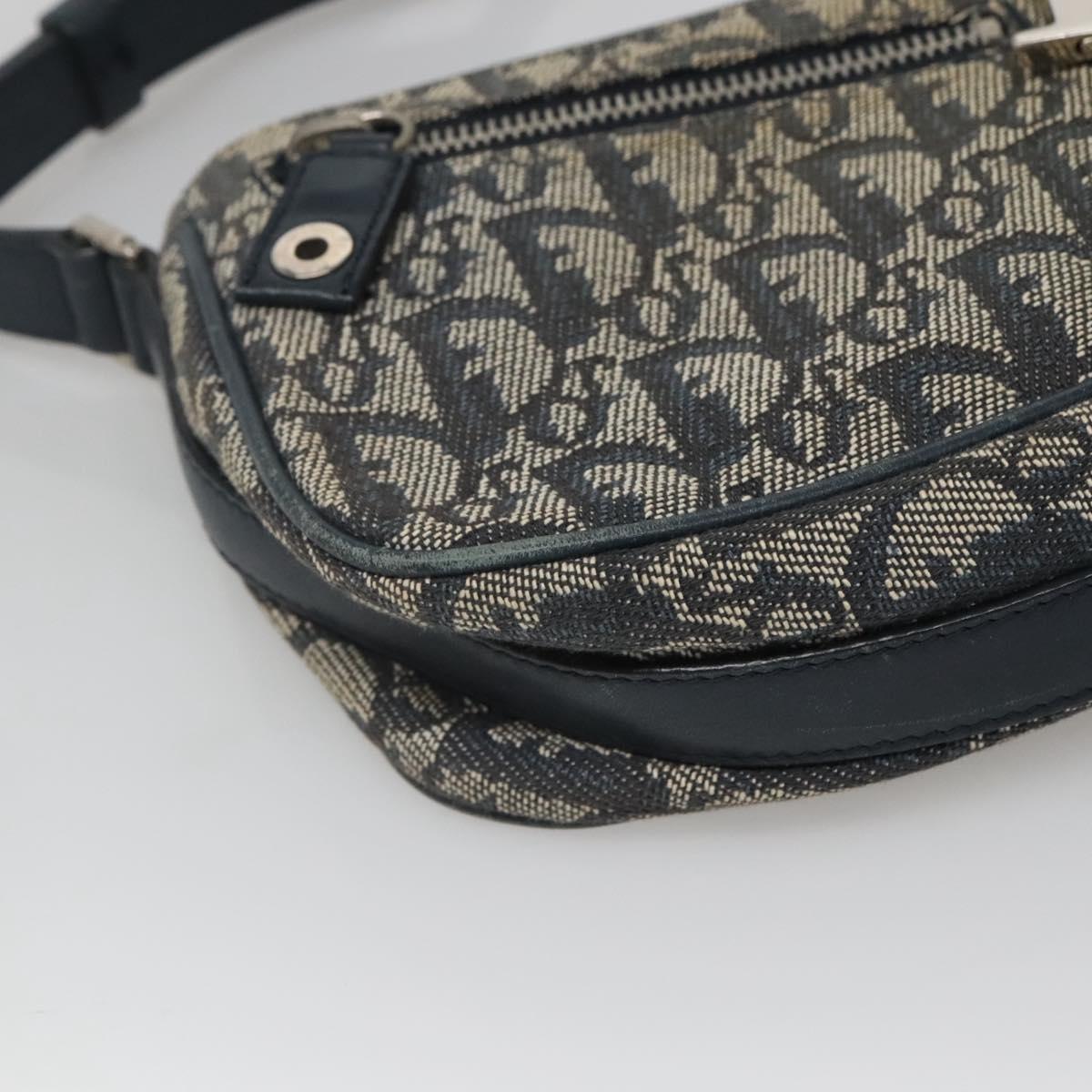 Dior Saddle, Navy, Canvas, shoulder