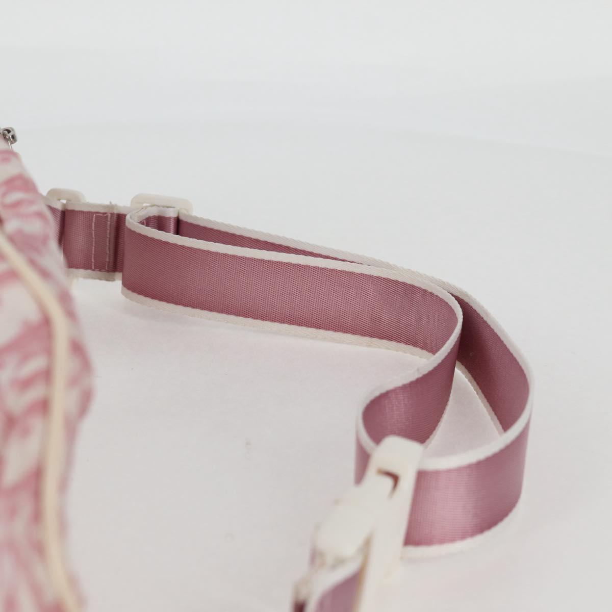 Dior Trotter, Pink, Canvas, shoulder