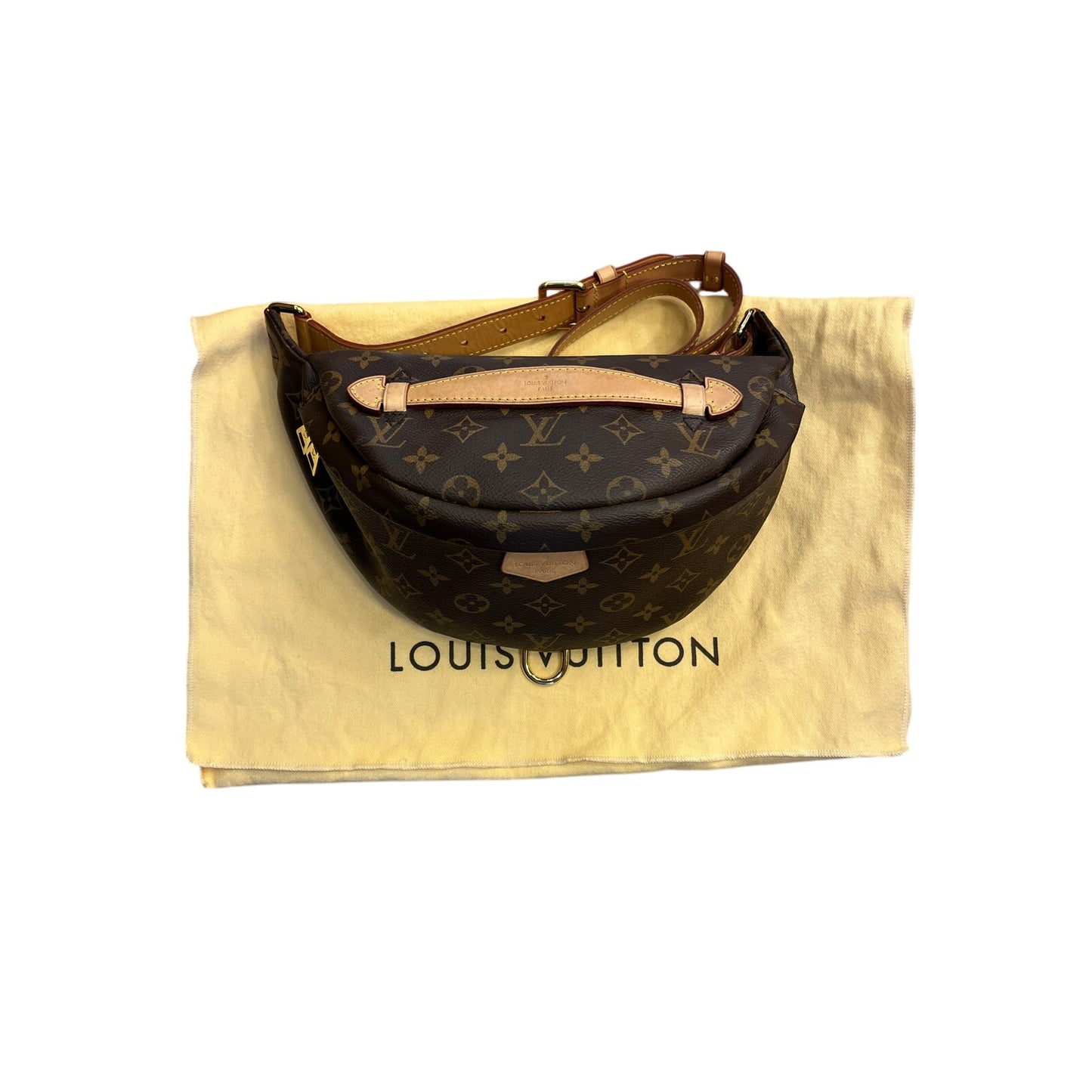 Louis Vuitton Monogram Bumbag