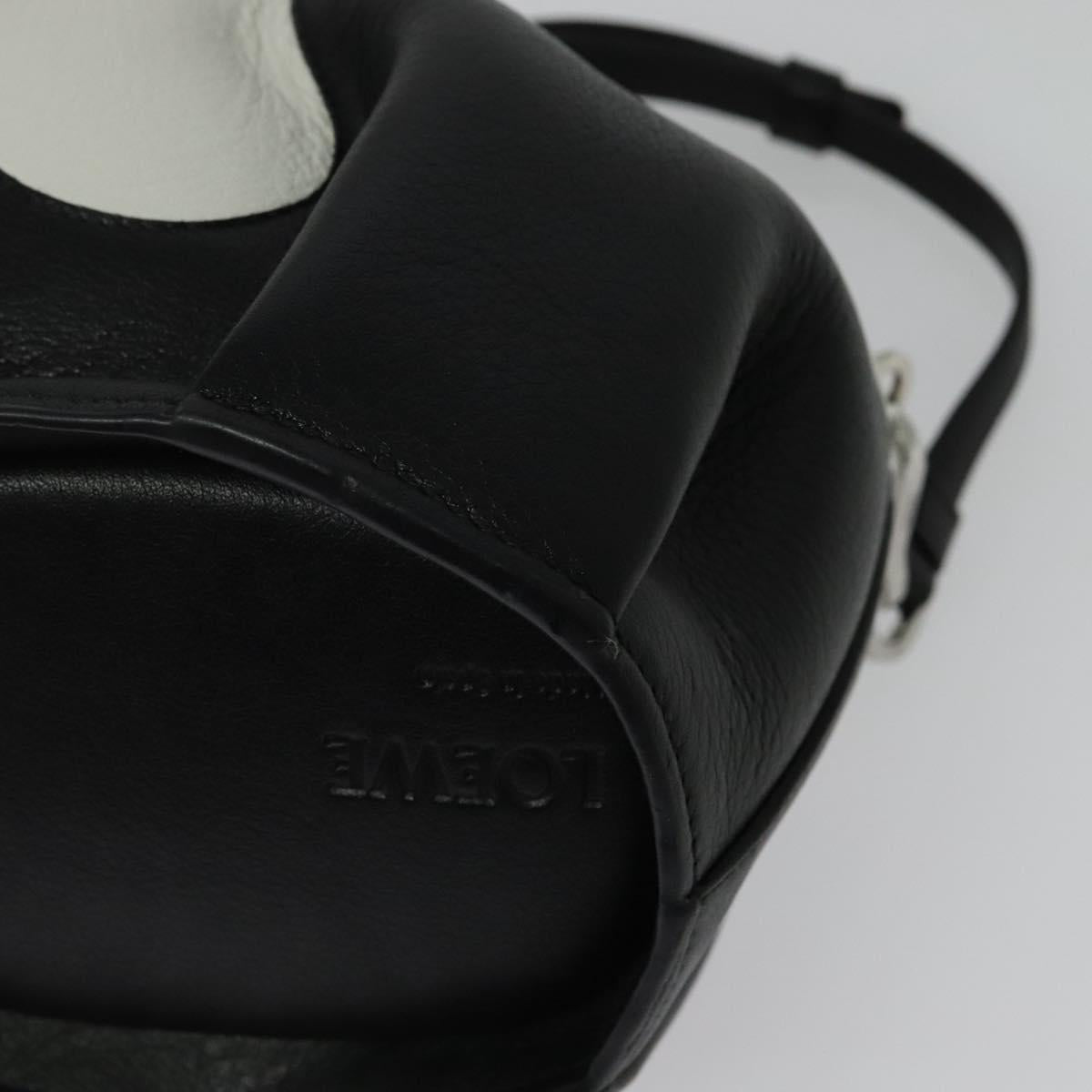 Loewe Animals - Brandsamsara