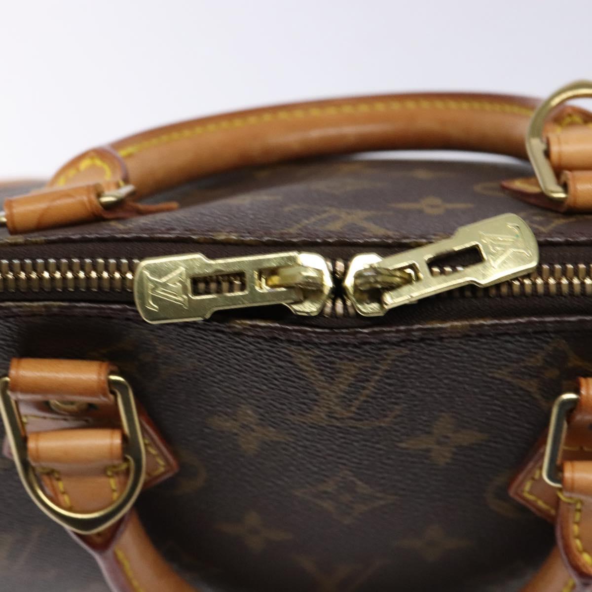 Louis Vuitton Alma - Brandsamsara