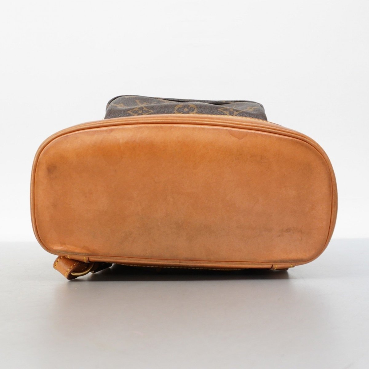 Louis Vuitton Montsouris MM - Brandsamsara