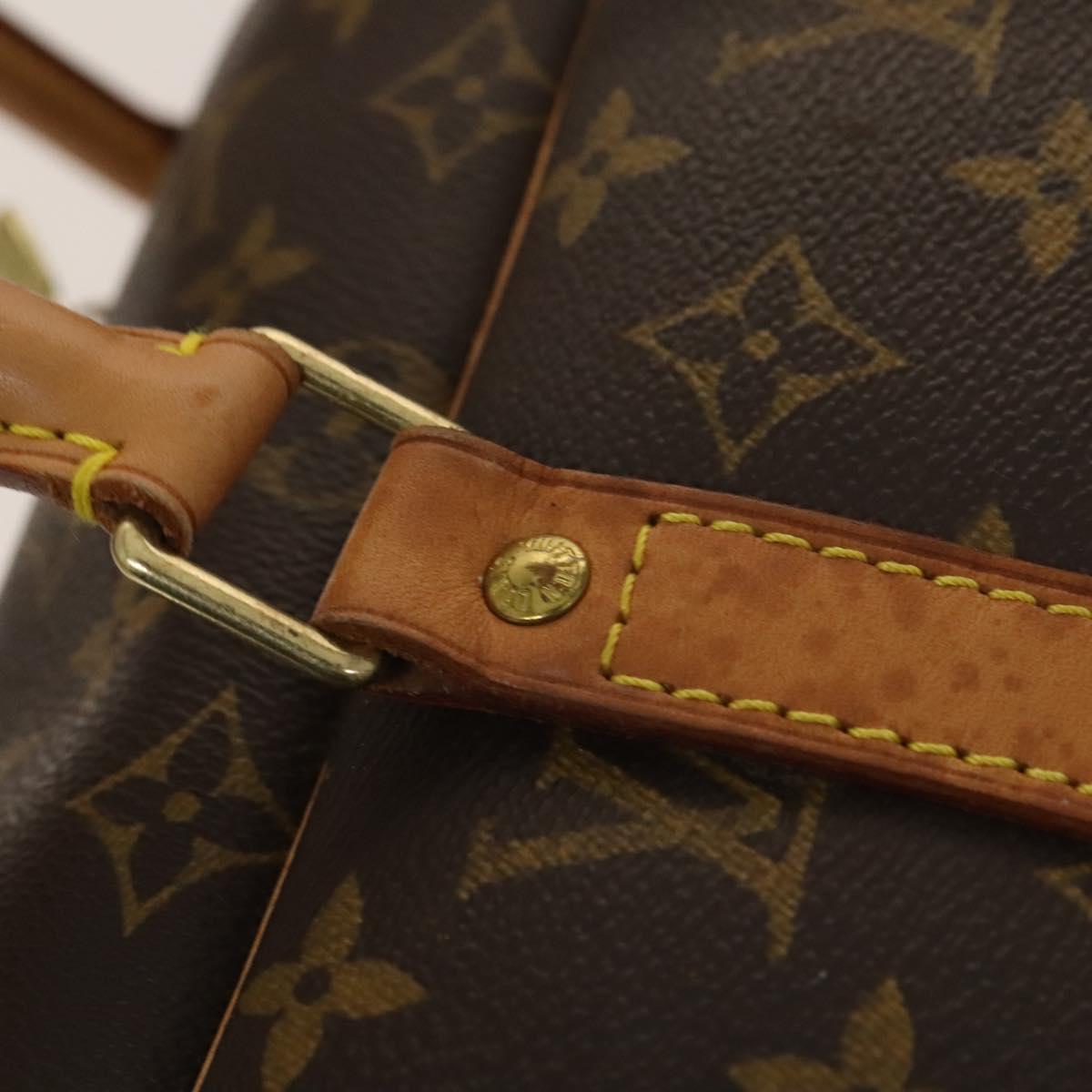 Louis Vuitton Sirius - Brandsamsara