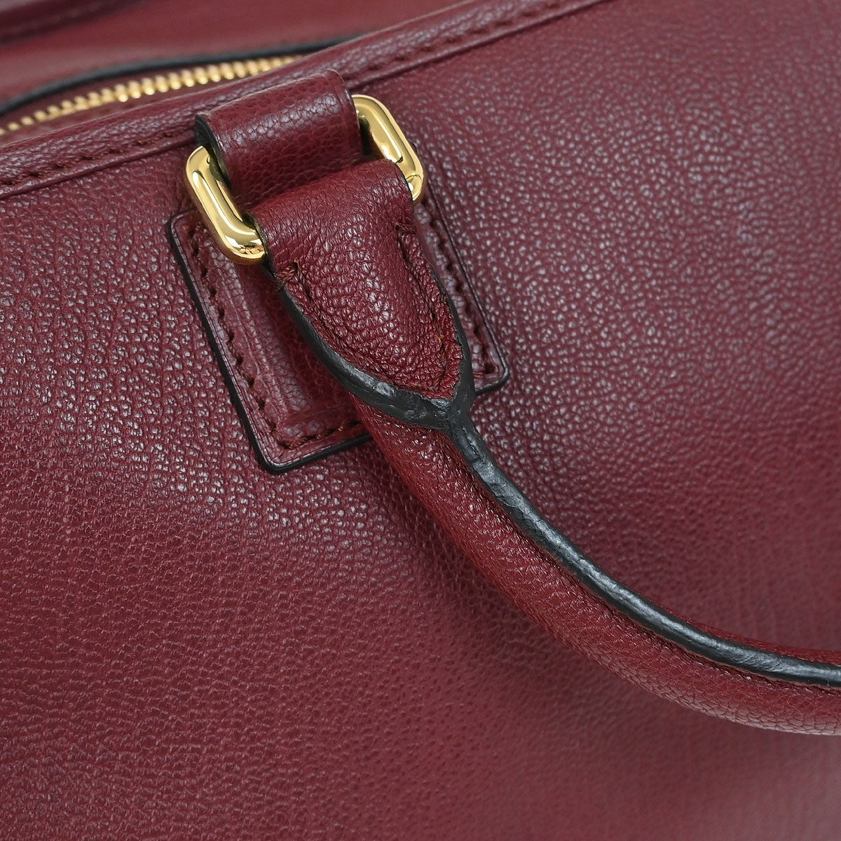 Loewe Amazona Bag Leather, BURGUNDY, LEATHER, Handbag