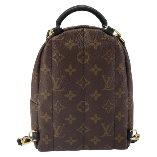 Louis Vuitton Palm Springs Backpack Monogram Canvas, BROWN, CANVAS, Backpack