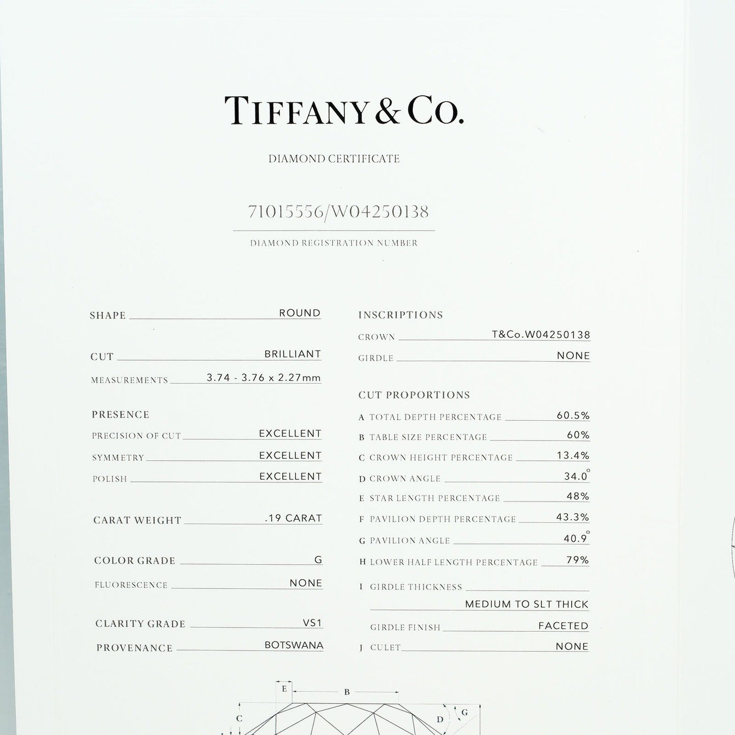 Tiffany & Co. Elsa Peretti Diamonds By The Yard Platinum with Diamond, SILVER, PLATINUM, Necklace