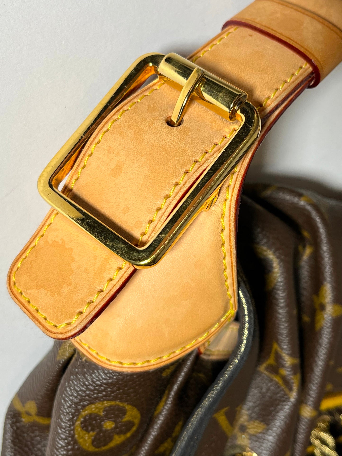 Louis Vuitton Kalahari Bag