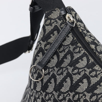 Christian Dior Vintage Trotter Messenger Diorissimo Canvas, Gray, Canvas, Handbag