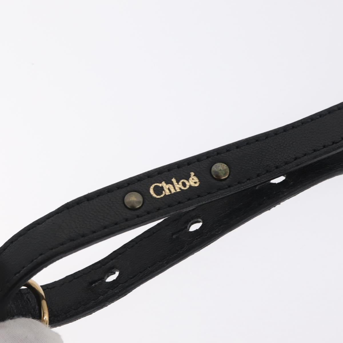 Chloe Ethel Leather, Black, Leather, Handbag