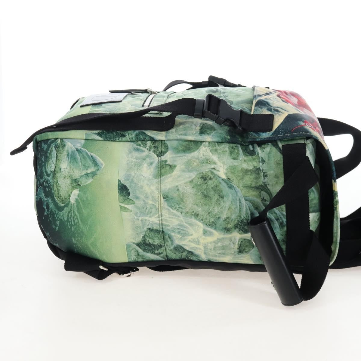 Valentino Garavani x Roger Dean Dragon Printed Nylon, Green, Nylon, Backpack
