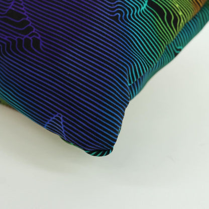 Louis Vuitton Reversible Limited Edition 2054 Monogram Textile, Multicolour, Nylon, Clutch