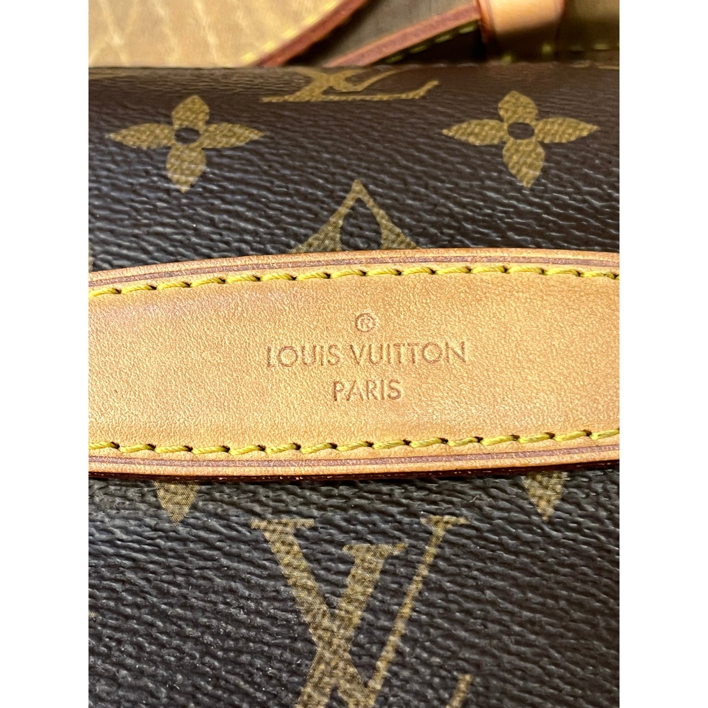 Louis Vuitton Monogram Bumbag