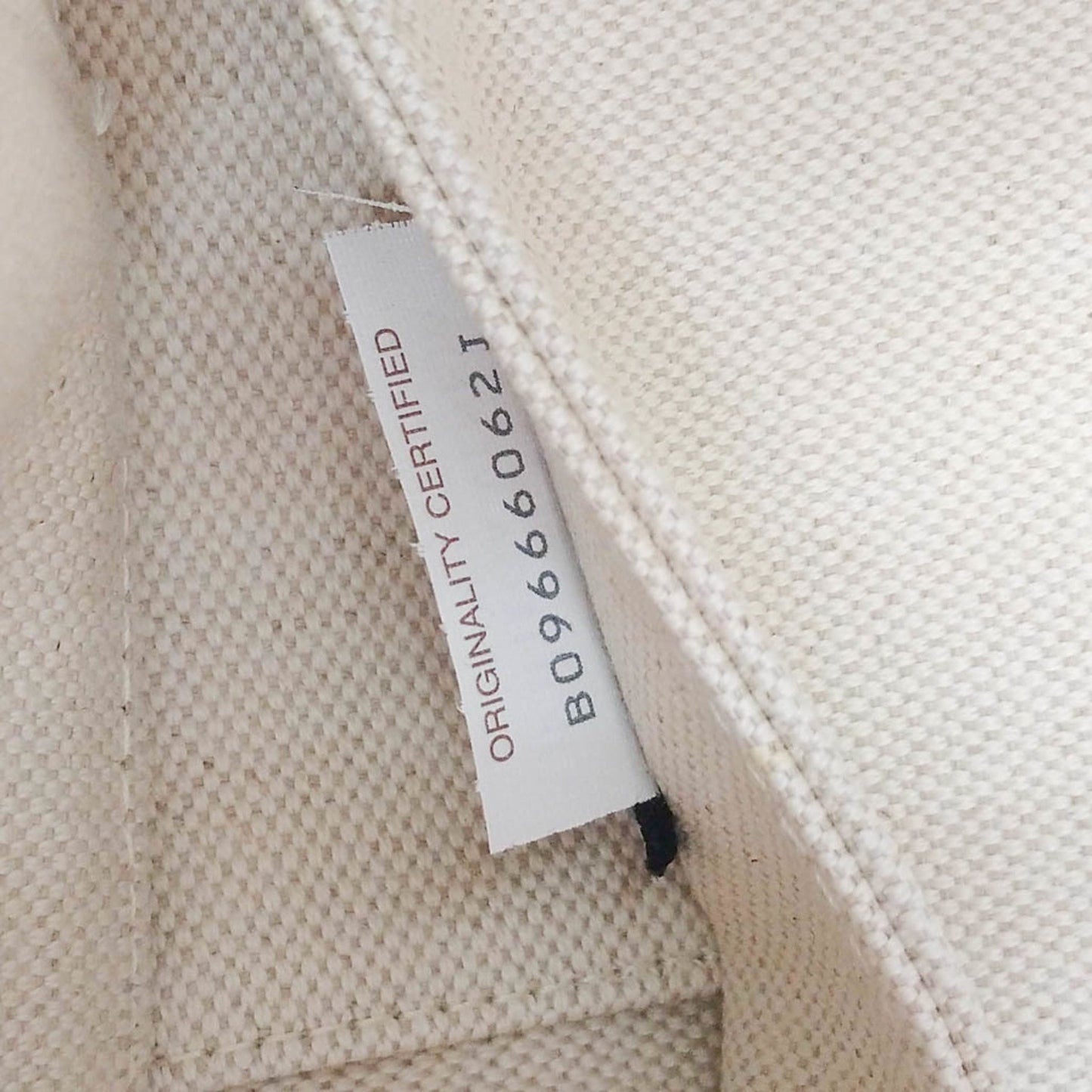 Bottega Veneta Arco, White, Canvas, tote