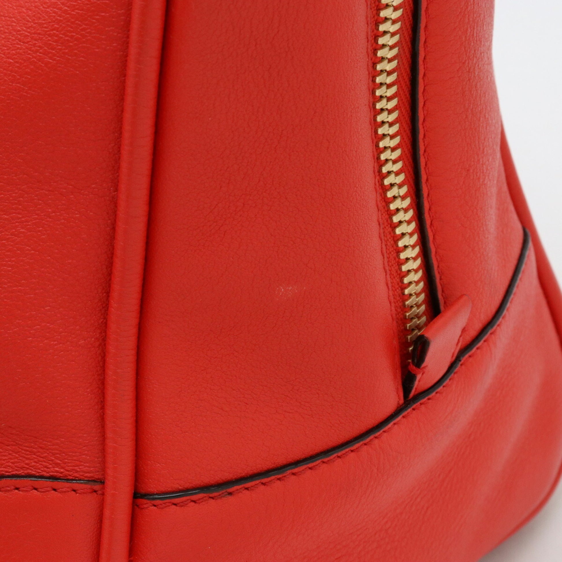 Loewe Amazona, Red, Leather, tote