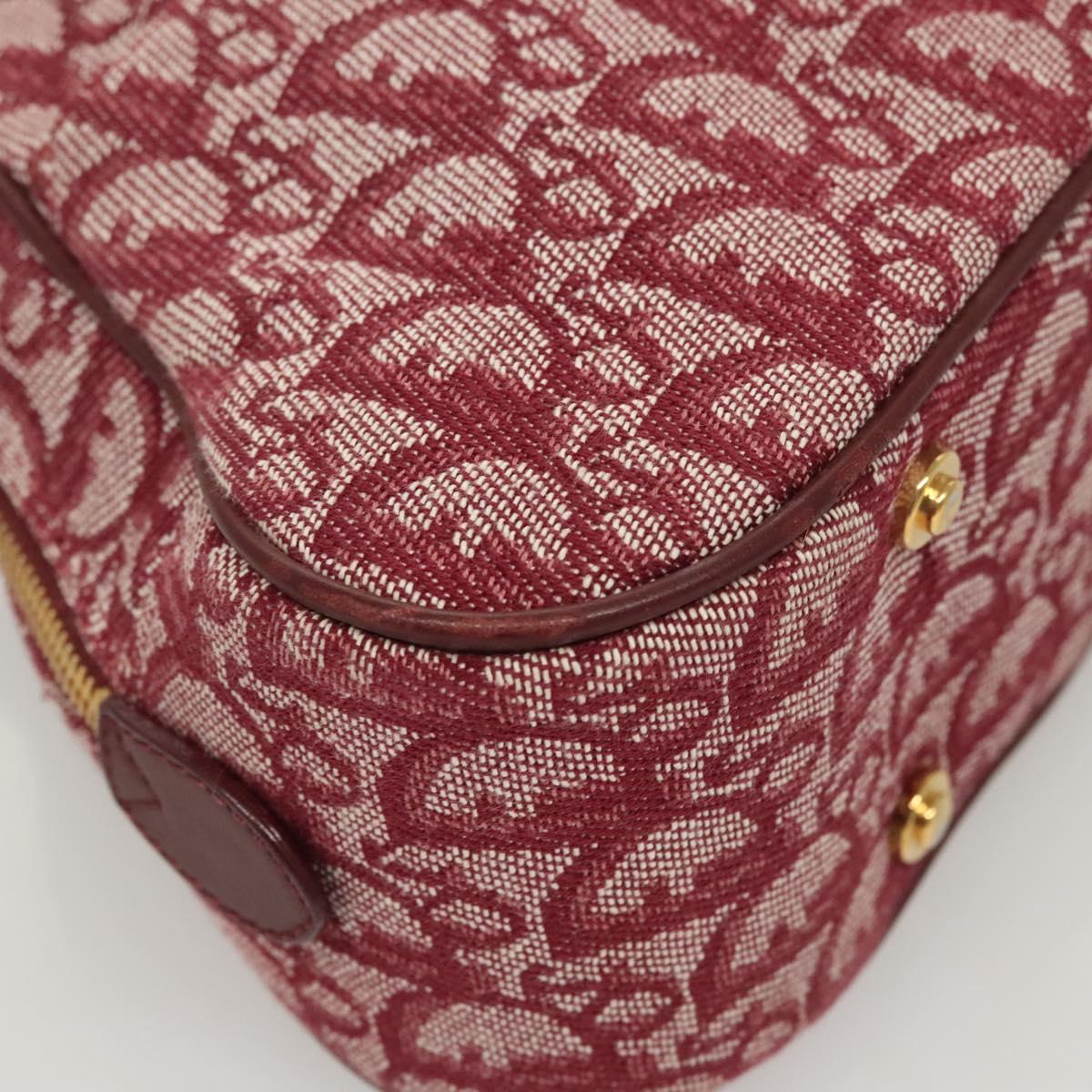 Dior Double Saddle, Red, Canvas, handbag