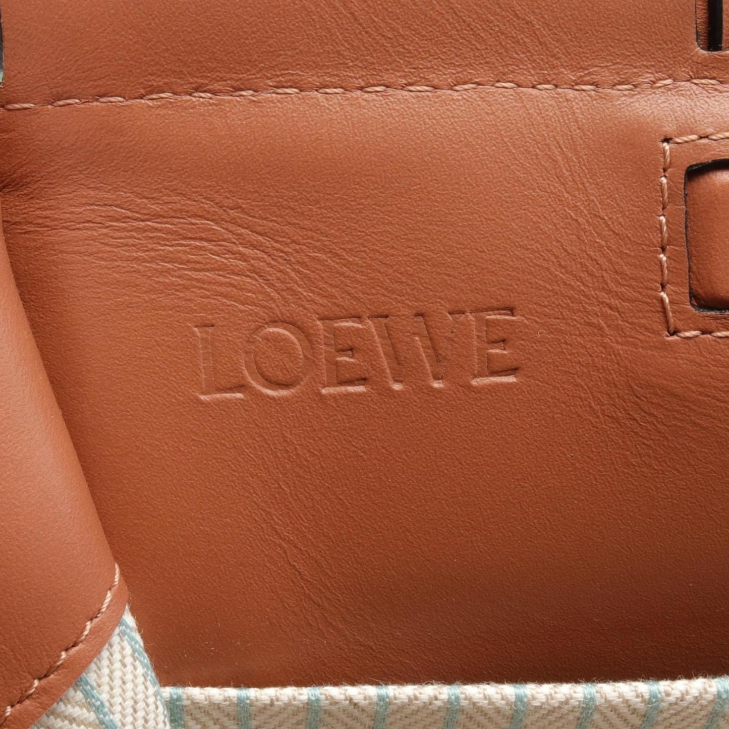 Loewe Cushion, Green, Canvas, tote