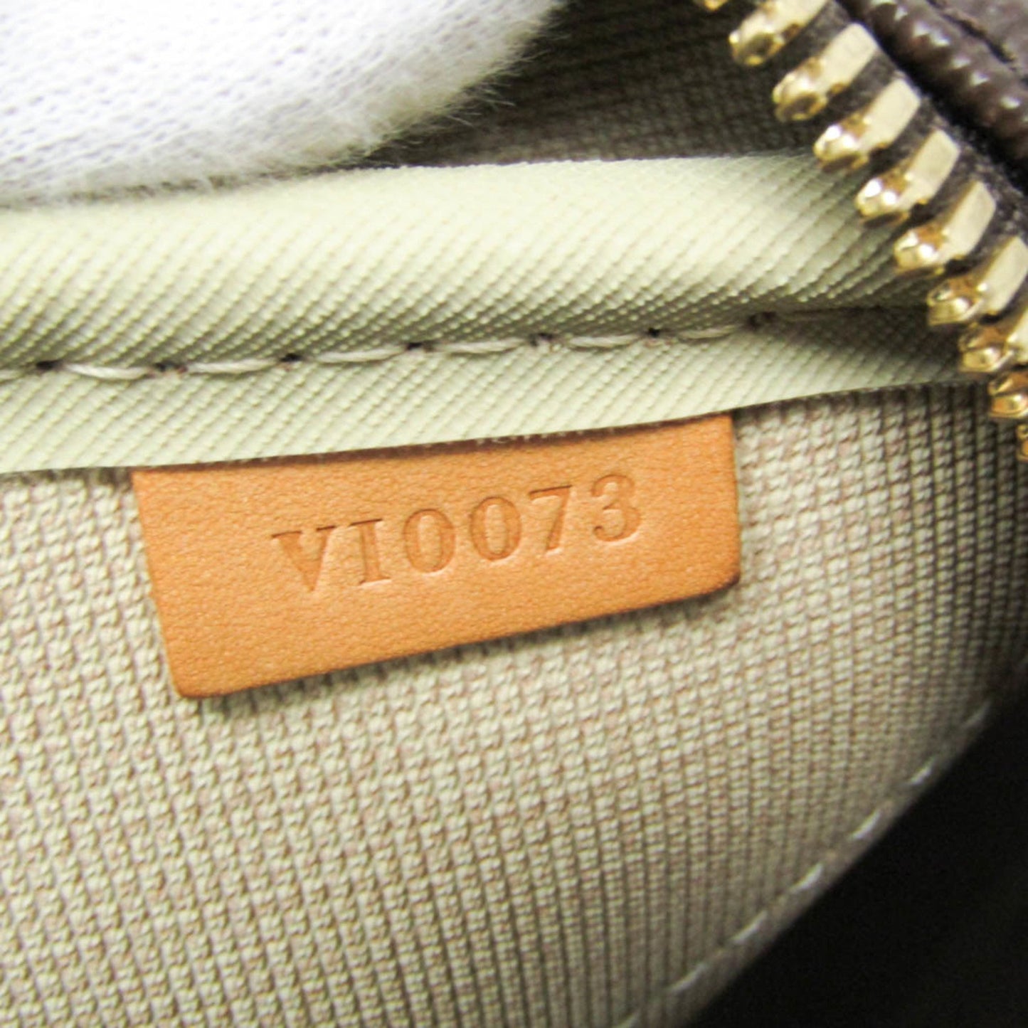 Louis Vuitton Evasion, Brown, Canvas, travel