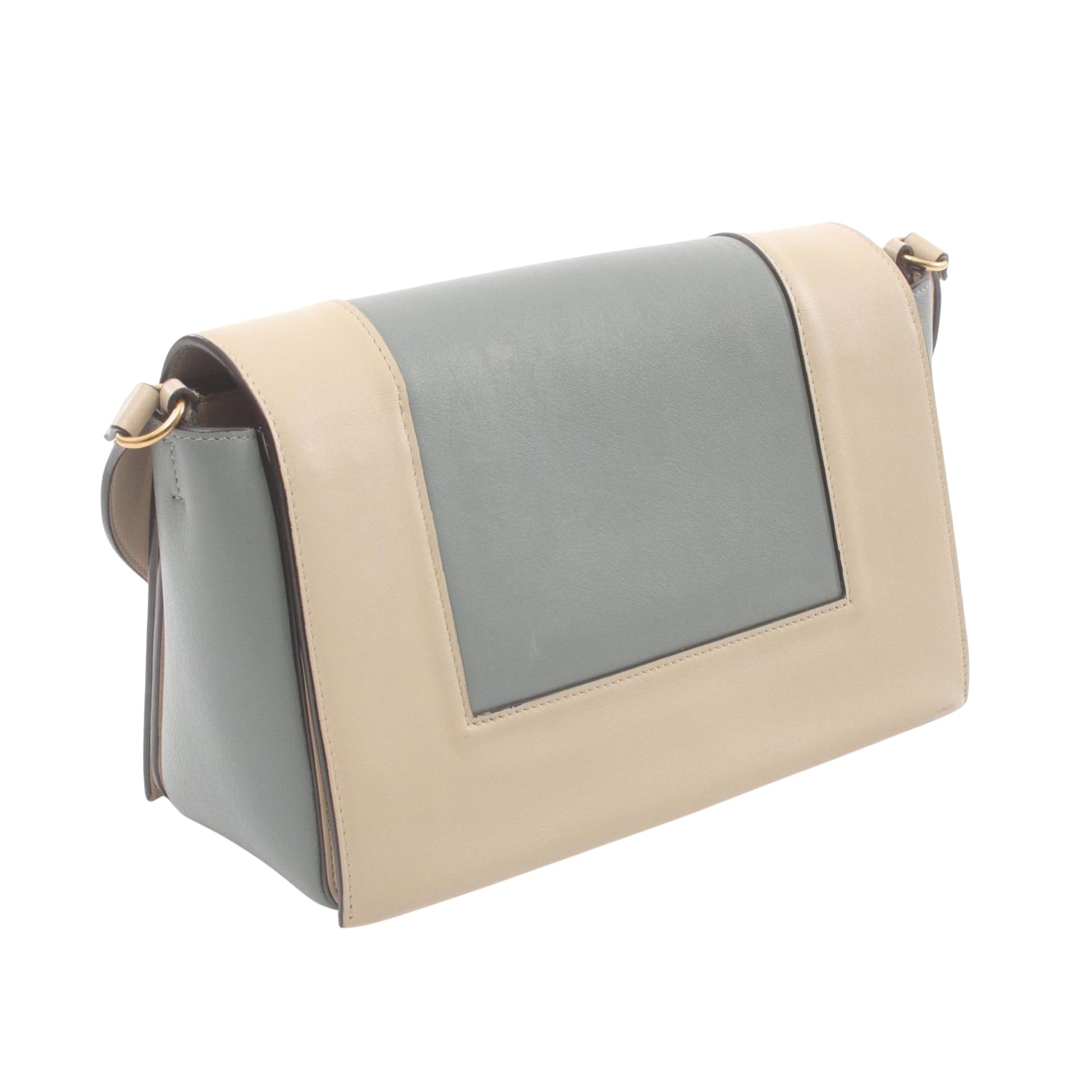 Céline Frame, Beige, Leather, shoulder