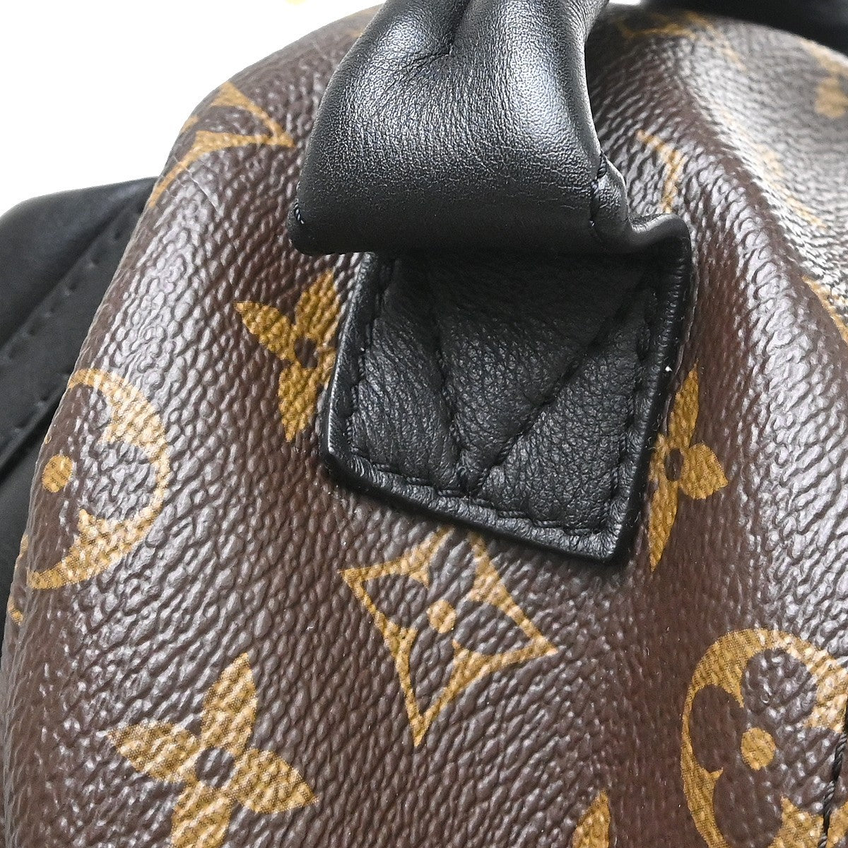 Louis Vuitton Palm Springs Monogram, Brown, Canvas, Backpack