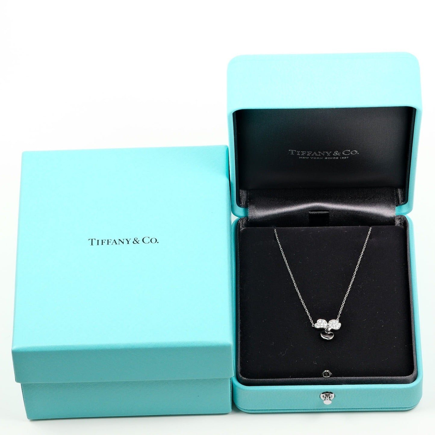 Tiffany & Co Paper flowers, Silver, Platinum, necklace