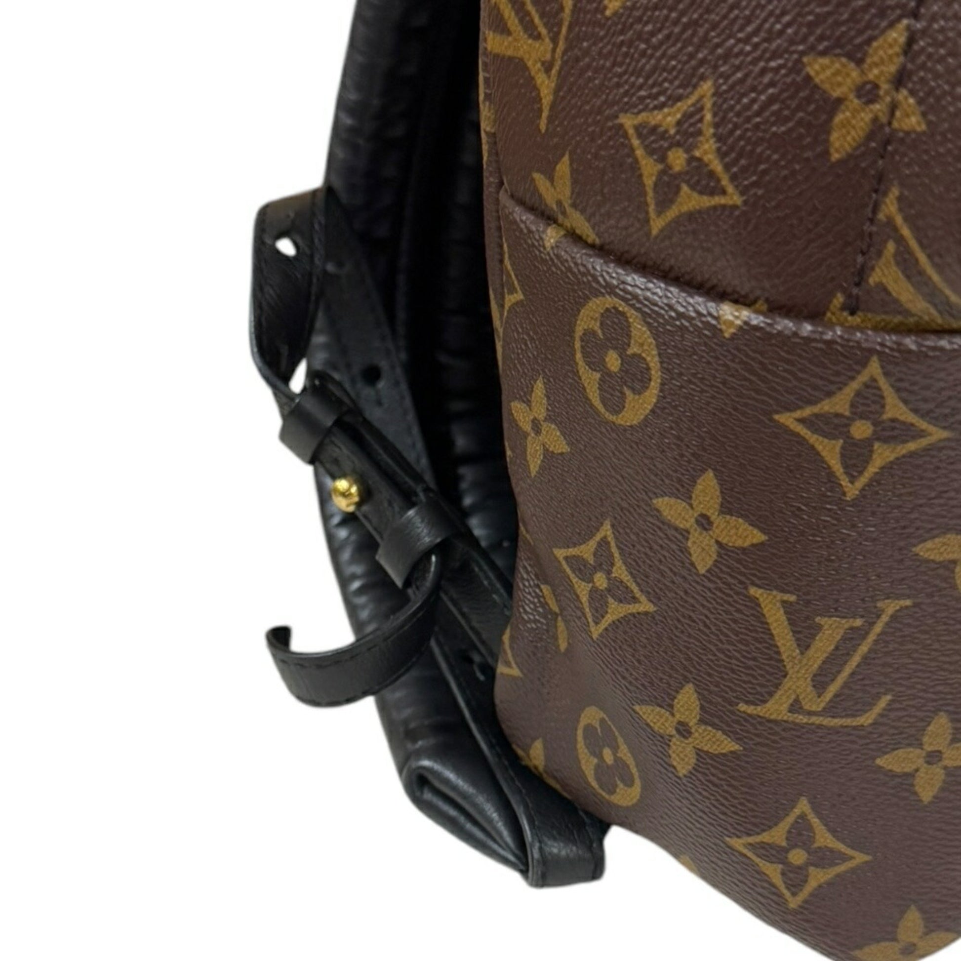 Louis Vuitton Palm Springs, Brown, Canvas, backpack