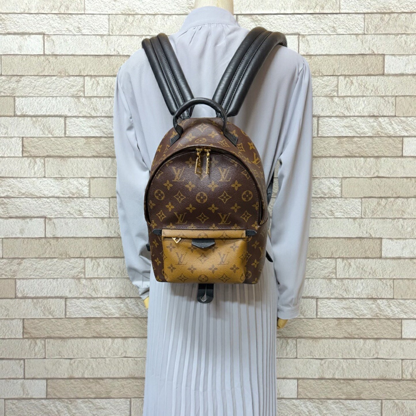 Louis Vuitton Palm Springs, Brown, Canvas, backpack