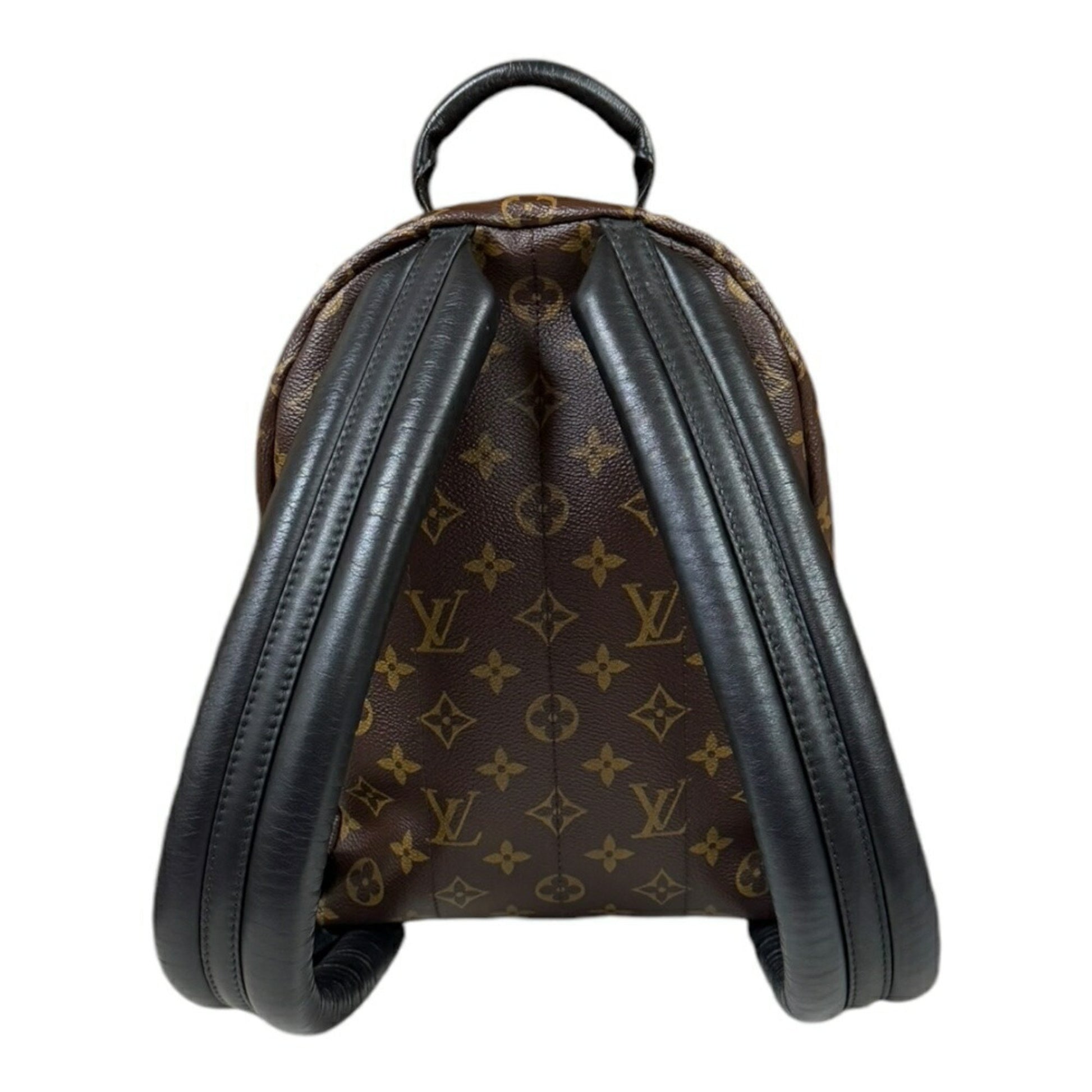 Louis Vuitton Palm Springs, Brown, Canvas, backpack