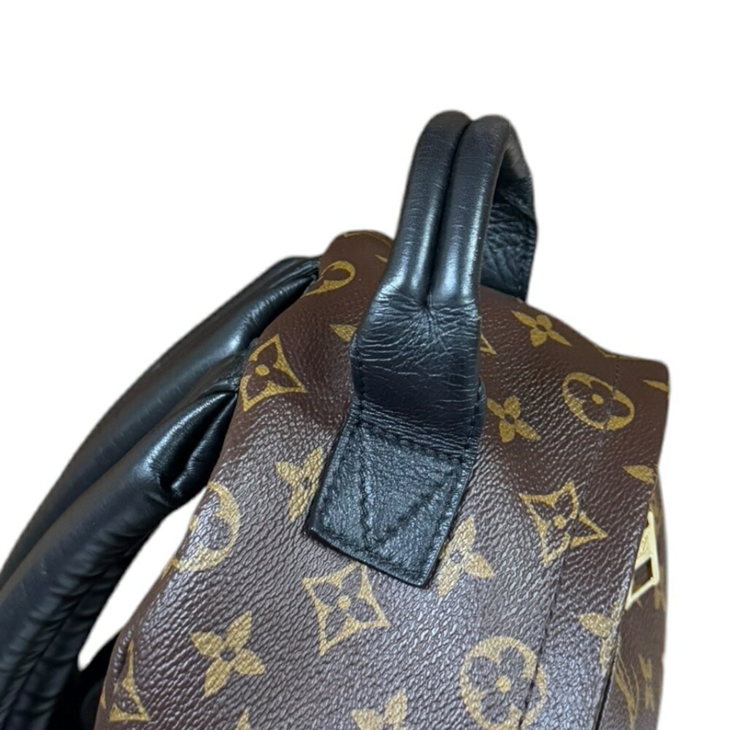 Louis Vuitton Palm Springs, Brown, Canvas, backpack